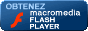 T&eacute;l&eacute;chargement Flash
